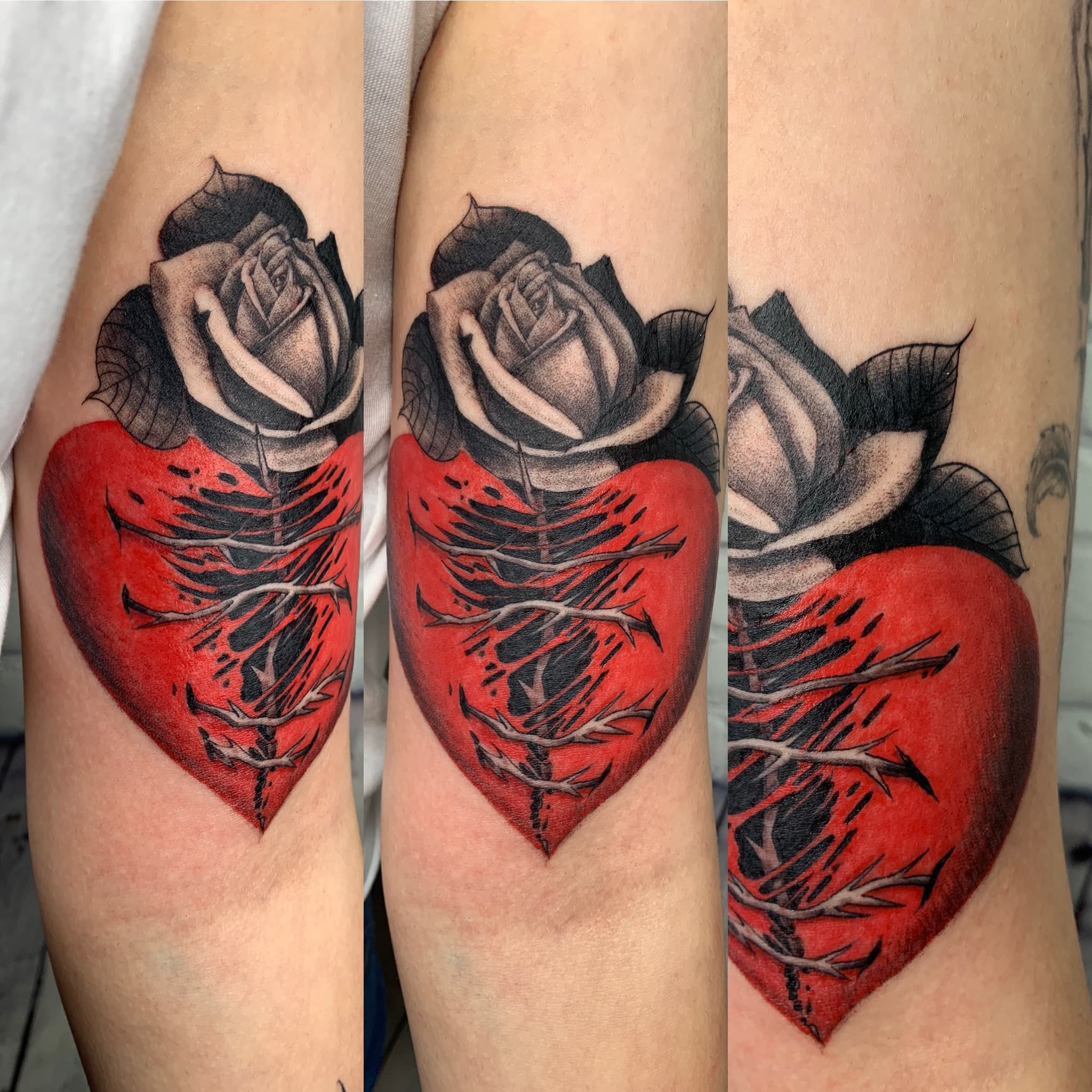 Work by Jose Canamar
