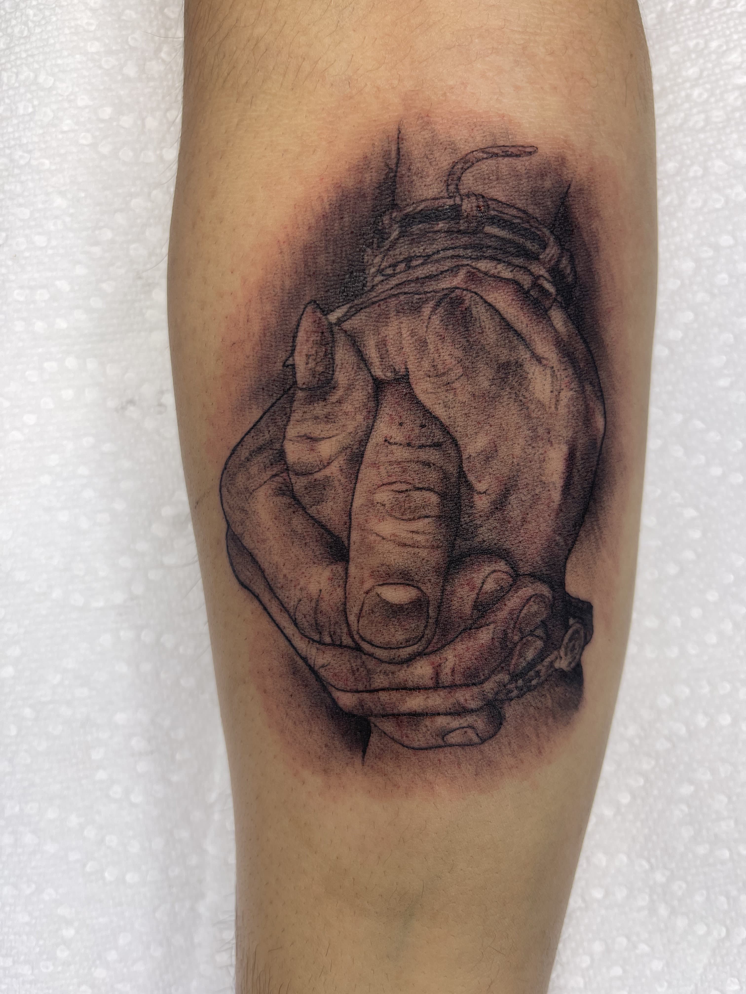 Work by Jose Canamar